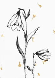Sart blomsterskitse