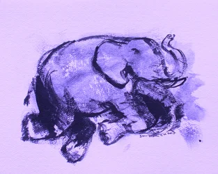 Elefant 42
