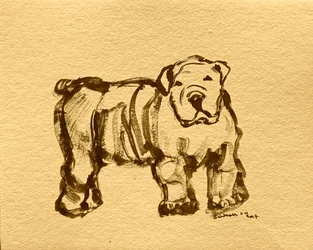 Udtryksfuld bulldogskitse