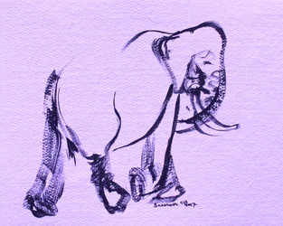 Yndefuld lilla elefant