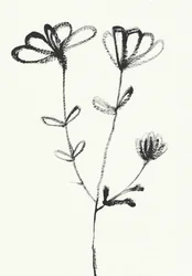 Minimalistisk blomsterskitse