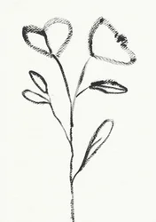 Minimalistisk blomsterskitse