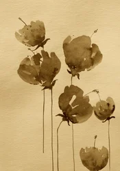 Sepiaakvarel med blomster