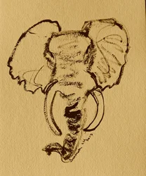 Skitse af en vild elefant