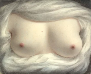 Afsløret skønhed, 1828