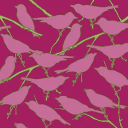 Paradiso, 2008 (digital)