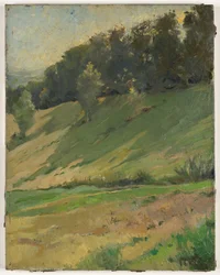 Udsigt fra Llandrindod Wells: The Upper Link, ca. 1900 (maleri)