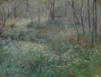 Vild persille, 1900.