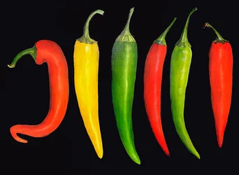 Fem chilier, 2024 (olie på lærred)