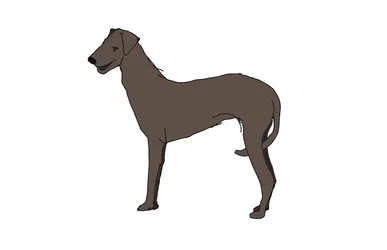 Hound, 2018, (digital tegning)