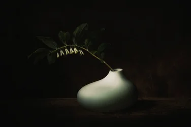 Sart mørkt blomsterstilleben