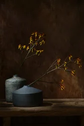 Stemningsfulde botaniske vaser