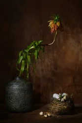 Stemningsfuld blomsterrede