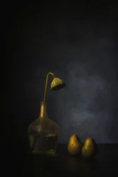 Stemningsfuld lotus og pærer