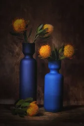 Orange blomster i blåt