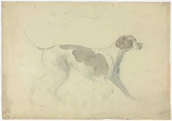 Rævehund (recto); Skitser af hest og rytter (verso)