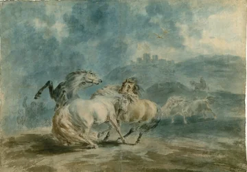 Horses Fighting (wc over grafit på kraftigt tekstur lagt papir)