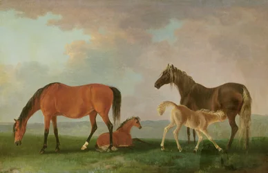 Hopper og føl (olie på lærred)