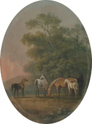 Hopper og føl, ca. 1770-80 (olie på metal)