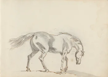 Skitsebog Tegning