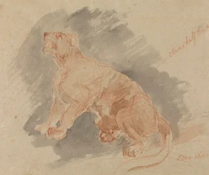 Studie af en tiger