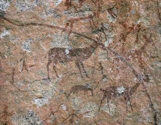 AFRIKANSK KUNST: Klippemaleri ved Ngomo Carera i Domboshawa-bjergkæden, 30 km nordøst... (fresko)