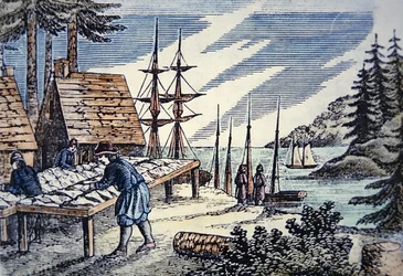 Fiskere, der tørrer torsk i New England, fra et træsnit fra det 17. århundrede (farve litho)