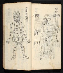 Akupunkturpunkter langs kroppens centrale linje, fra Jing Guan Qi Zhi, 