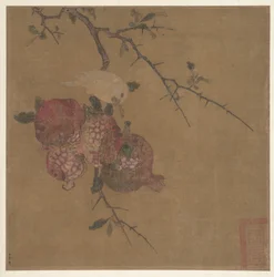 Pomegranates after Ma Lin (albumblad; blæk og farve på silke)