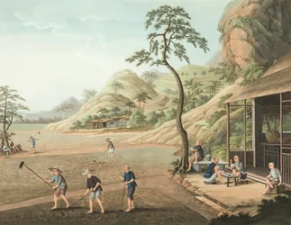 Teproduktion, ca. 1820 (kropsfarve og guldmaling på silke lagt på papir)