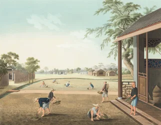 Teproduktion, ca. 1820 (kropsfarve og guldmaling på silke lagt på papir)