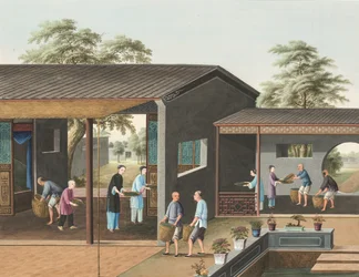 Teproduktion, ca. 1820 (kropsfarve og guldmaling på silke lagt på papir)