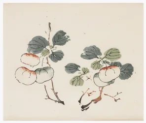 Ten Bamboo-serien
