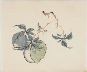 Ten Bamboo-serien