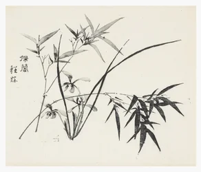 Ten Bamboo-serien