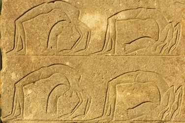 Det gamle Egypten, Vægmaleri/udskæring, Kvindelige akrobater optræder, Karnak-templet, Luxor (foto)