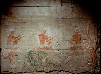 Det gamle Egypten: kalkstensrelief, der forestiller skriftlærde fra Mastaba-kapellet i Akhethetep, omkring 2300 f.Kr. 5. dynasti. Gammelt imperium. Fra Saqqara (Sakkara). Paris, Louvre-museet
