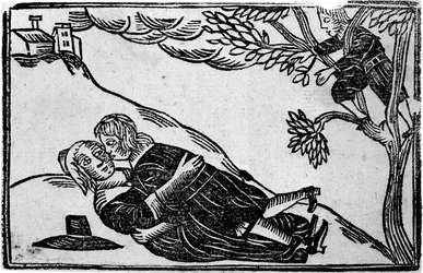 To mennesker, der har sex, fra 