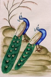 Miniaturemaleri på papir: påfugl