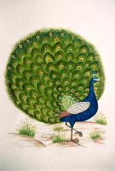 Miniaturemaleri på silke: påfugl