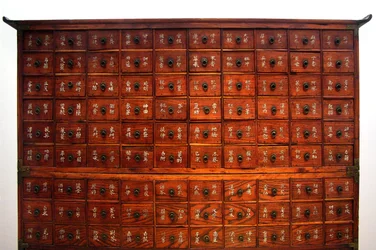Medicinsk træinventar, Joseon-perioden, Korea, Kim Chong-hak-samlingen. Koreas Nationalmuseum, Seoul, Republikken Korea, 2006.