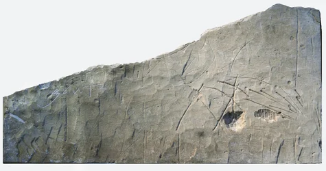 Hebraisk begravelsesindskrift fra Beth Loya, judæiske foden, Israel, 6. århundrede f.Kr. (sten)