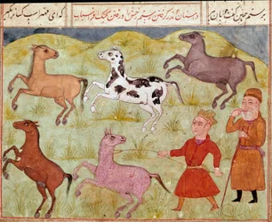 Islamisk kunst: En herre og hans bondedreng fanger vilde heste i lasso. Persisk miniature fra et manuskript af det episke digt "Shahnameh"" (Shah Nama, Shahnama) (Kongernes Bog) af Ferdowsi (Firdawsi eller Ferdawsi eller Firdousi, ca. 940-omkring 1020) Bib