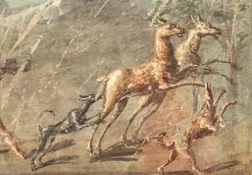 Elsker at gå på jagt, Herculaneum