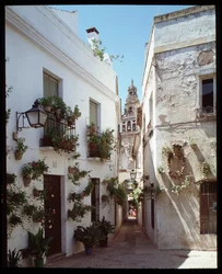 Udsigt over minareten (klokketårnet) af Omayyades store moské (Mezquita), nu katedral, fra Calle de los flores""", Cordoba Spanien"" (Udsigt over klokketårnet eller minaret af Mosqueð-katedralen (den store moske) i Cordoba fra gaden "" calle de los flores"