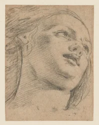 Kvindelig hovedundersøgelse ser op til højre (recto); Studie af to figurer, der understøtter et objekt (verso)