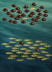 Fish, 2010 (scratchboard, farvelagt digitalt)