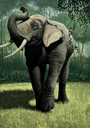 Junglebogen, 2006 (scratchboard, farvelagt digitalt)