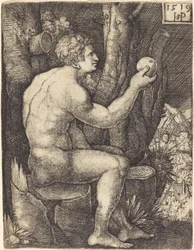 Adam siddende