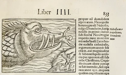 Monstrøse hvaler, der fortærer mennesker, fra 1550-udgaven af 